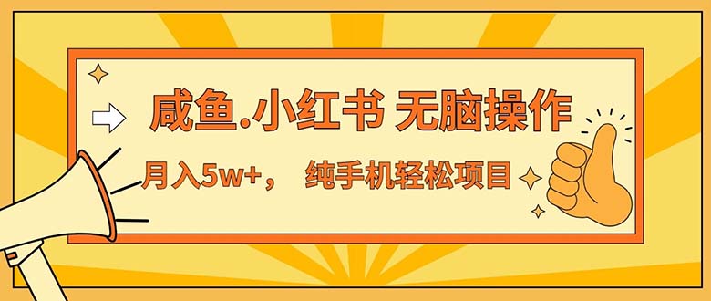 （精品）2024最赚钱的项目，咸鱼，小红书无脑操作，每单利润500+，轻松月入5万+…