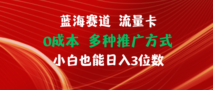 （精品）蓝海赛道 流量卡 0成本 小白也能日入三位数