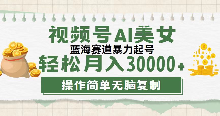 （精品）视频号AI美女跳舞，轻松月入30000+，蓝海赛道，流量池巨大，起号猛，无…