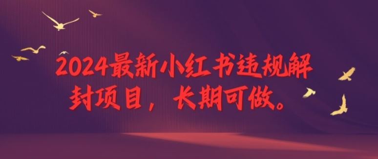 2024最新小红书违规解封项目，长期可做，一个可以做到退休的项目【揭秘】