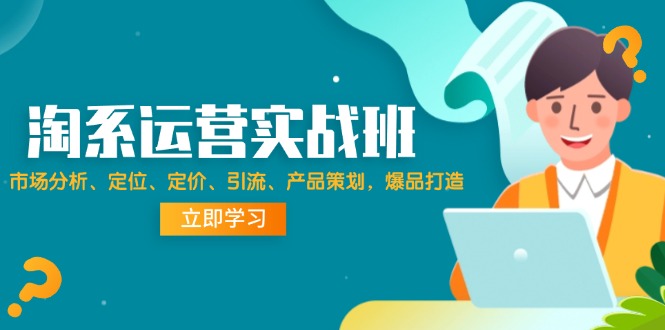 （精品）淘系运营实战班：市场分析、定位、定价、引流、产品策划，爆品打造